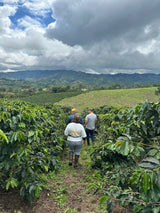 Yiver Vargas – Pink Bourbon – Huila – Colombia