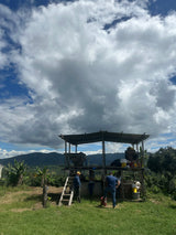 Yiver Vargas – Pink Bourbon – Huila – Colombia