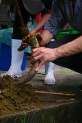 La Chacra D’Dago - Wiracocha lot - Peru