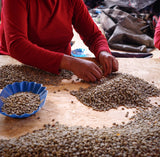 La Chacra D’Dago - Wiracocha lot - Peru