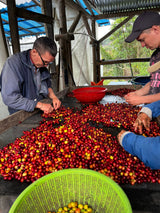 Coffee Workshop