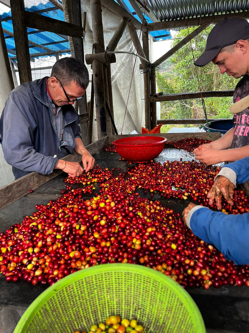 Coffee Workshop