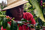 Subscription – Medium (FREE SHIPPING) - OCTOBER: COLOMBIA