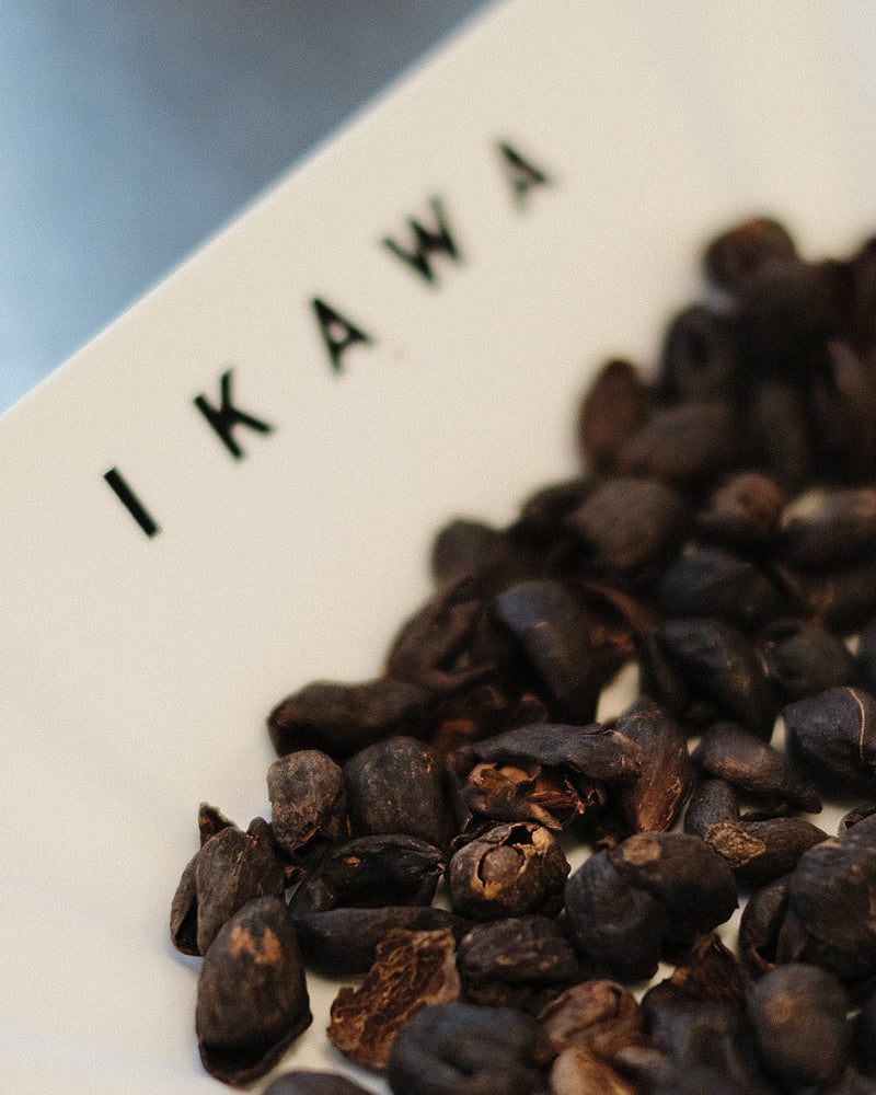 Argote Cascara