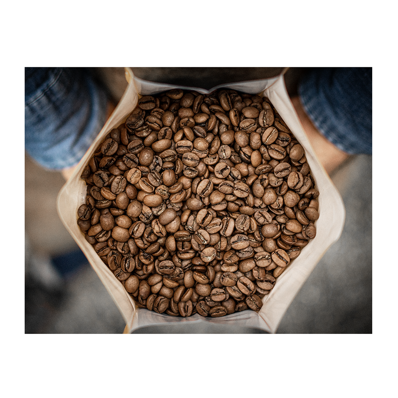 Pluma Hidalgo – Washed Arabica – Oaxaca – Mexico