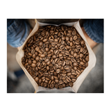 Chevere – Decaffeinated – Washed arabica – Cauca – Colombia