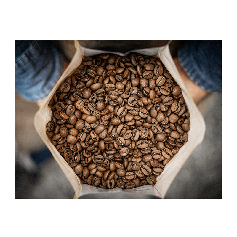 Chevere – Koffeinfri – Washed arabica – Cauca – Colombia