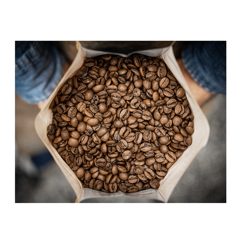 Vikings Do It Better (Modern Italian Espresso) 100% Arabica – Medium Roast