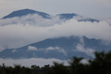 Las Nubes – Washed Arabica – Tolima – Colombia