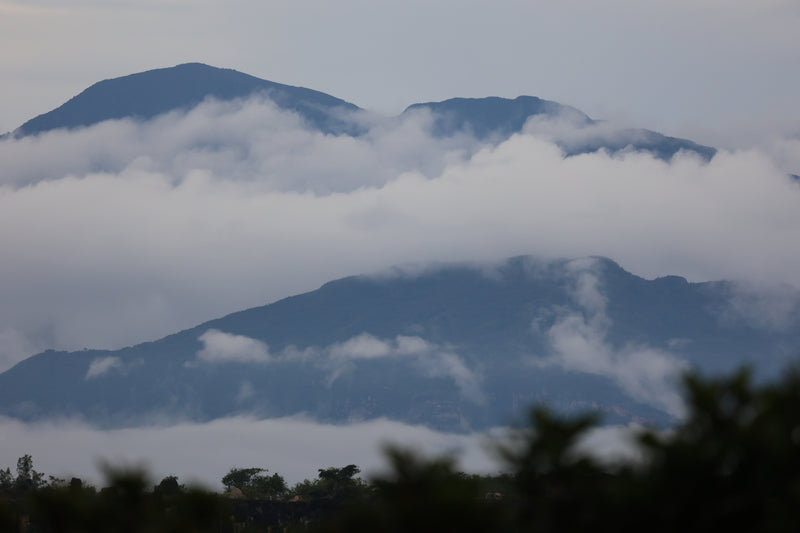 Las Nubes – Washed Arabica – Tolima – Colombia