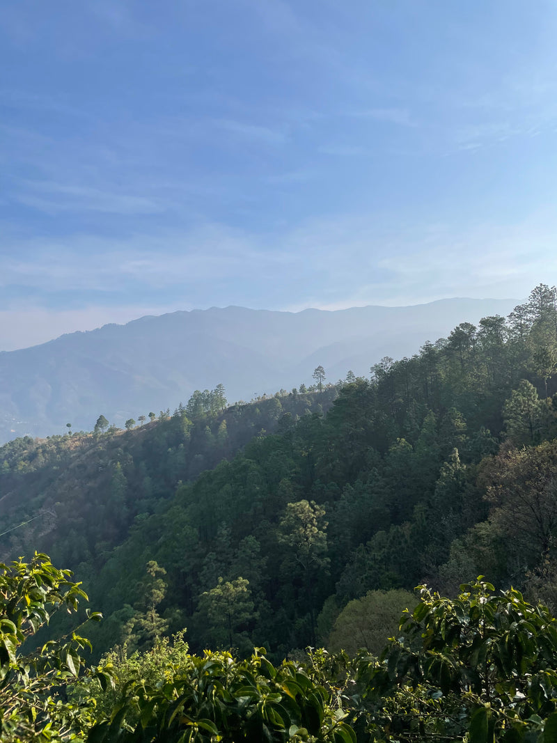 Santa Barbara, Huehuetenango, Guatemala