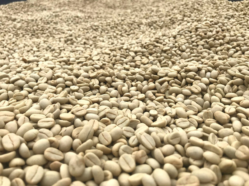 Subscription – Medium (FREE SHIPPING) - MARCH 2025: RWANDA