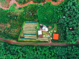 Subscription – Medium (FREE SHIPPING) - MARCH 2025: RWANDA