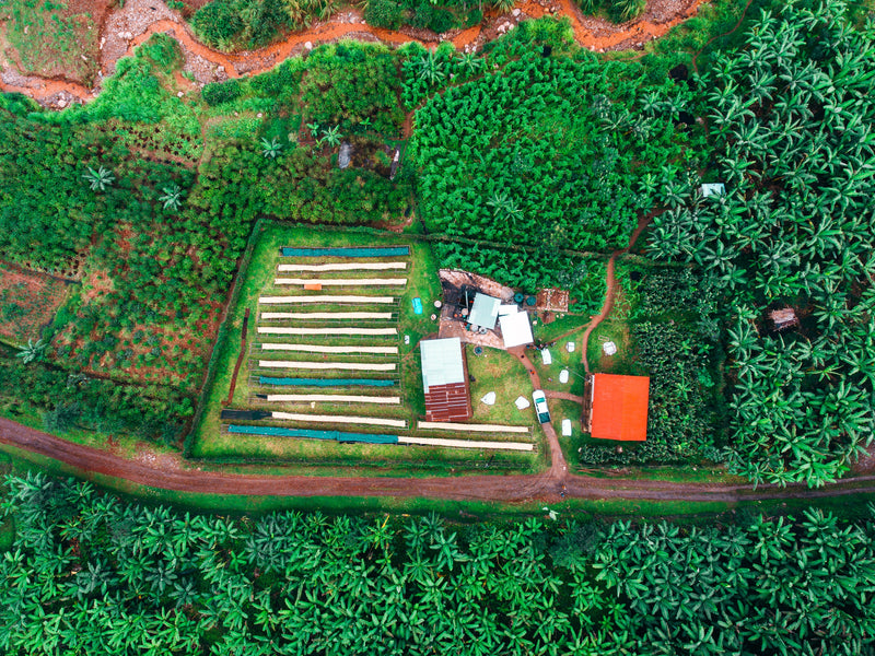 Subscription – Medium (FREE SHIPPING) - MARCH 2025: RWANDA