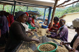 Subscription – Medium (FREE SHIPPING) - MARCH 2025: RWANDA