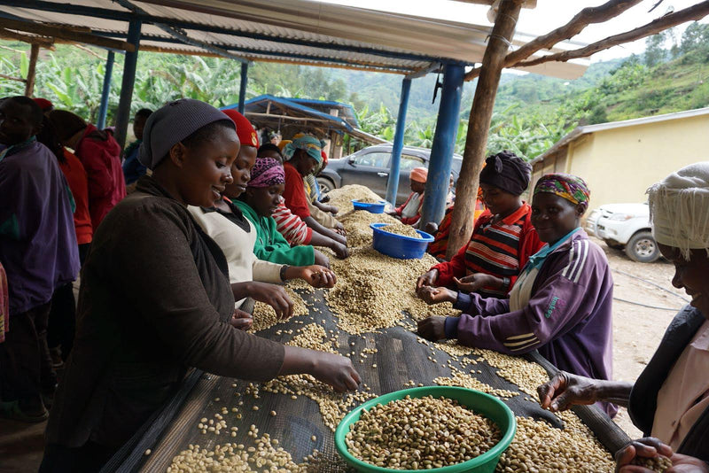 Subscription – Medium (FREE SHIPPING) - MARCH 2025: RWANDA