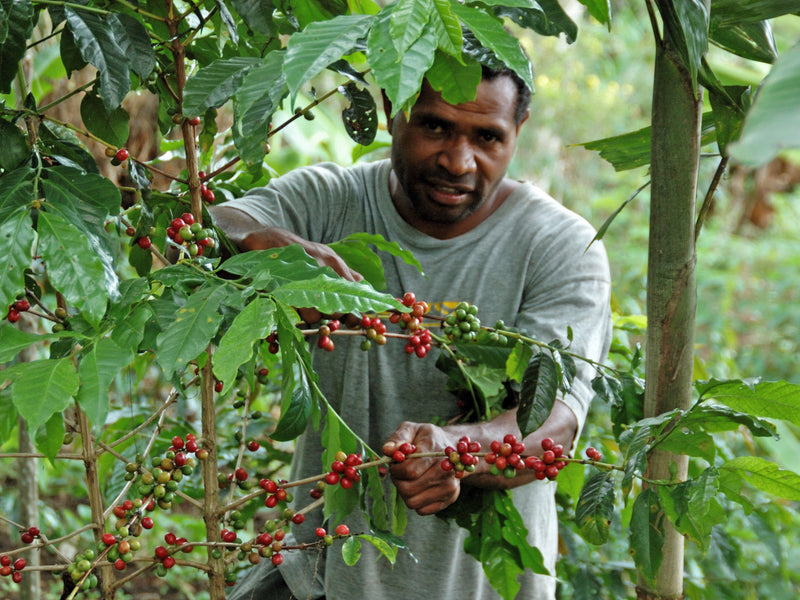 Morobe – Papua Ny Guinea