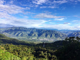 Yiver Vargas – Washed Arabica – Huila – Colombia