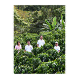 Yiver Vargas – Washed Arabica – Huila – Colombia