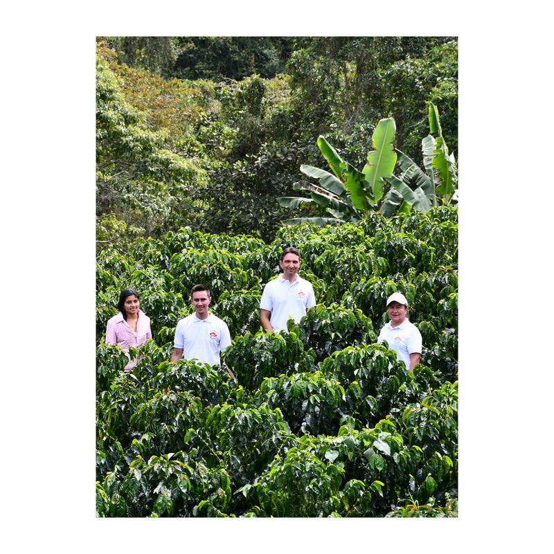 Yiver Vargas – Washed Arabica – Huila – Colombia