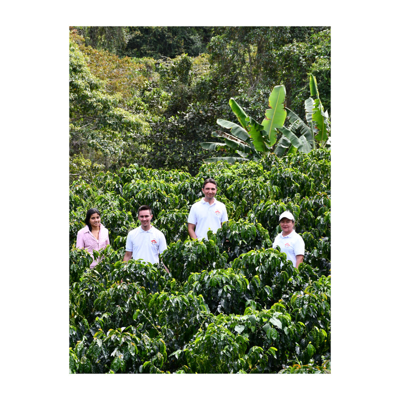 Yiver Vargas – Honey Arabica – Huila – Colombia